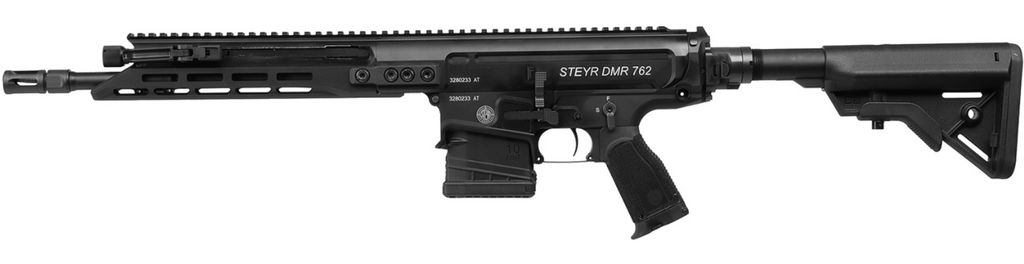 Schwarzes Selbstladegewehr mit Magazin