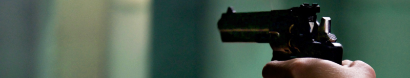 media/image/banner-revolver.png